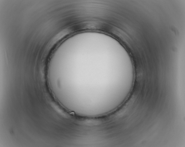 X0000114241026200910231520
