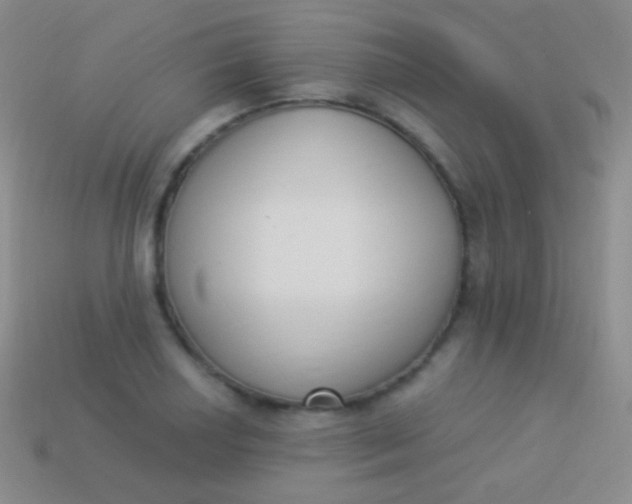 X0000114241034200910231520