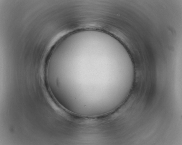 X0000114241038200910231520