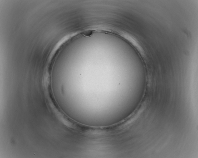 X0000114241040200910231520