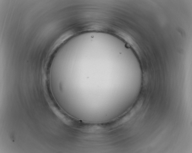 X0000114241042200910231520