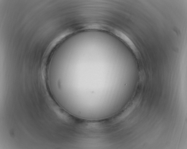 X0000114241043200910231520