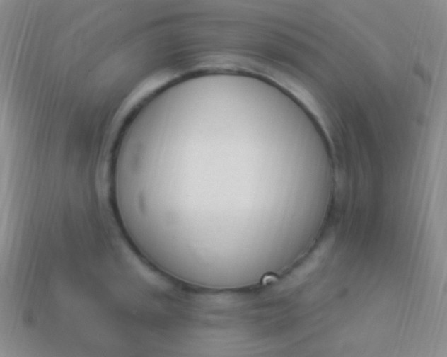 X0000114241045200910231520