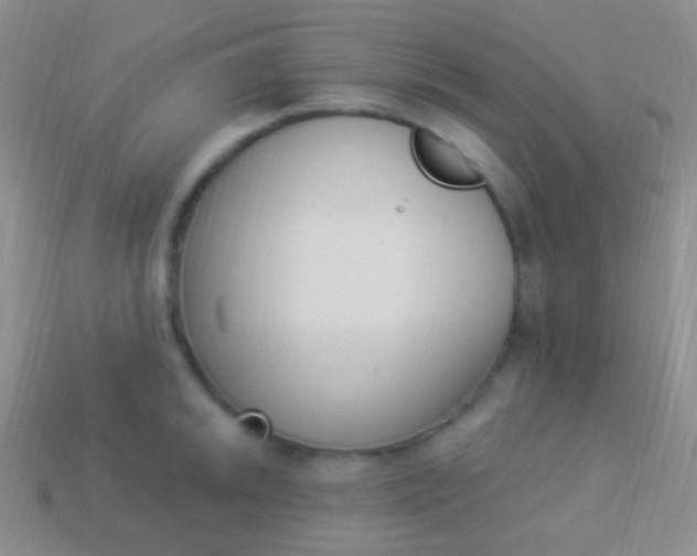 X0000114241046200910231520