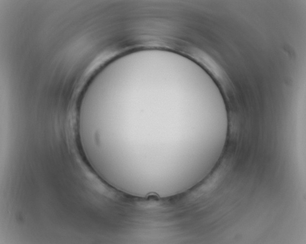 X0000114241048200910231520
