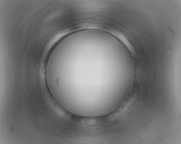 X0000114241051200910231520