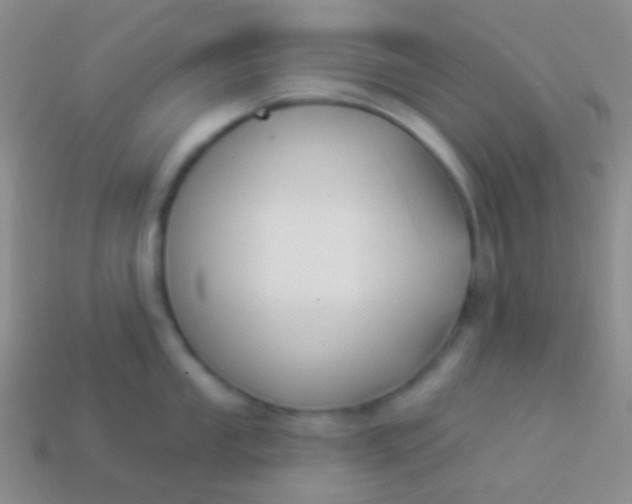 X0000114241053200910231520