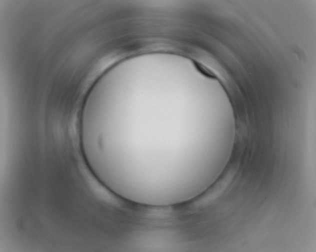 X0000114241055200910231520
