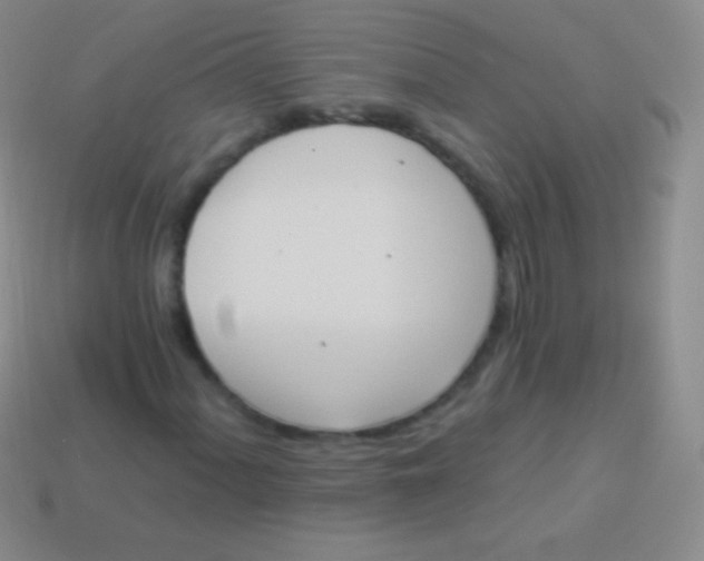 X0000114241060200910231519