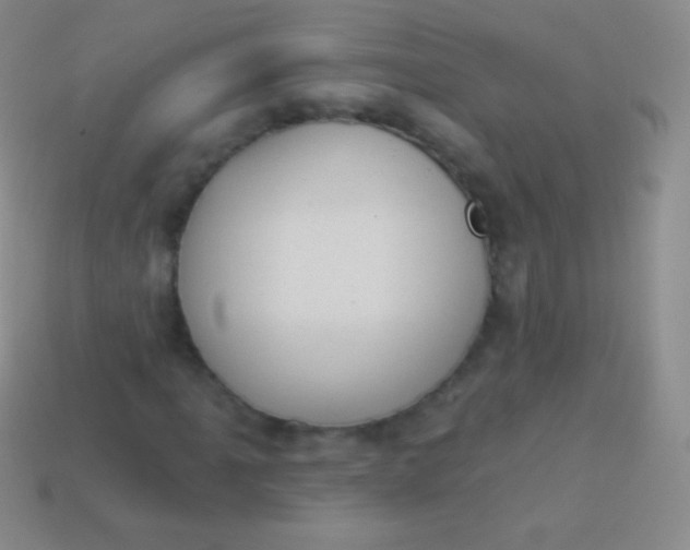 X0000114241061200910231519