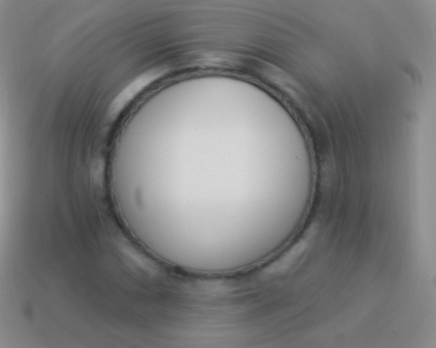 X0000114241066200910231519
