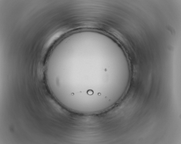 X0000114241067200910231519