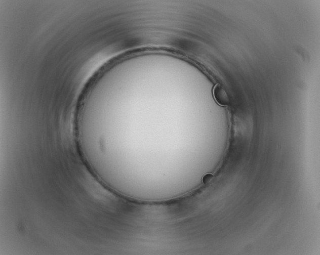 X0000114241068200910231519