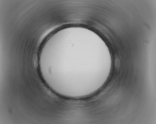 X0000114241069200910231519