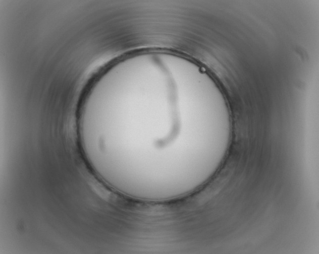 X0000114241072200910231519
