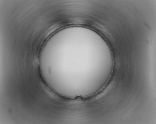 X0000114241073200910231519