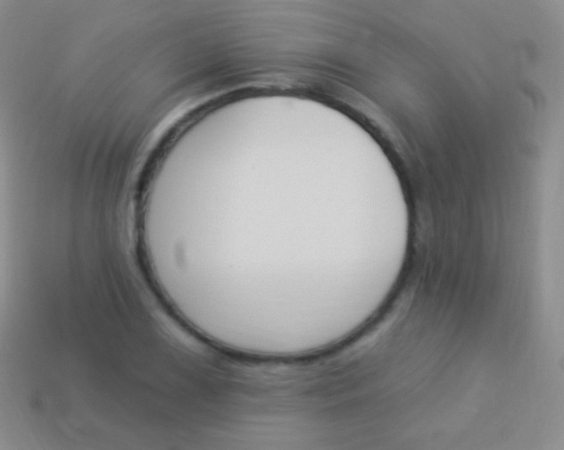 X0000114241075200910231519