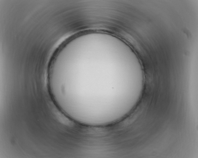X0000114241076200910231519