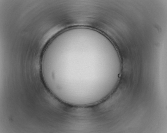 X0000114241077200910231519