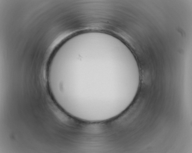X0000114241078200910231519