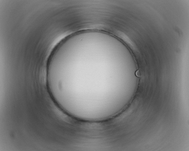 X0000114241079200910231519
