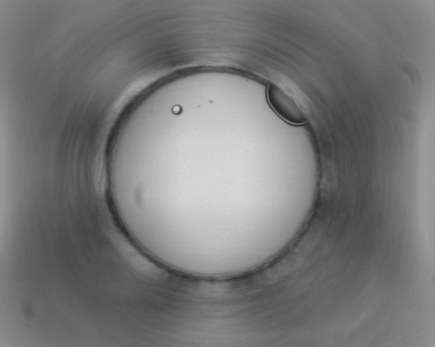 X0000114241080200910231519