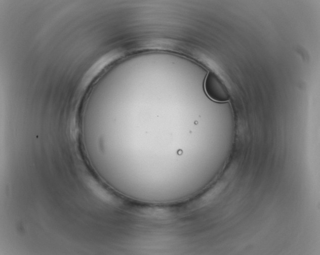 X0000114241082200910231519