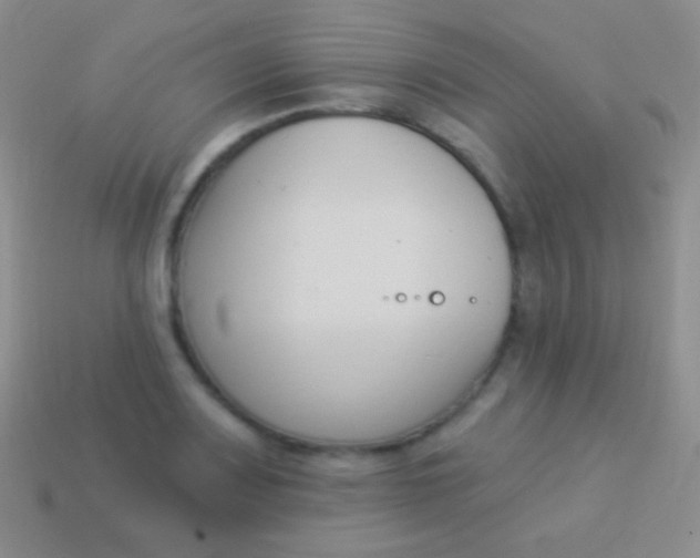 X0000114241083200910231519