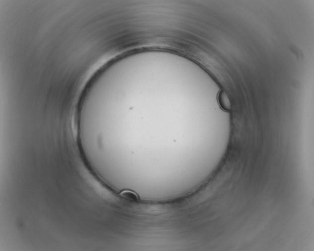 X0000114241084200910231519
