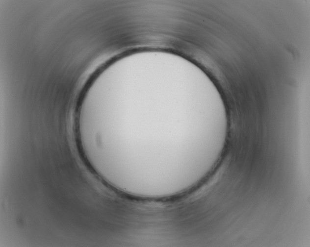 X0000114241085200910231519