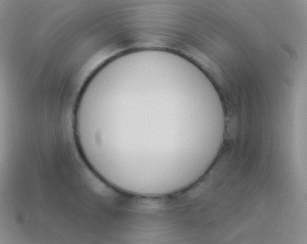 X0000114241086200910231519