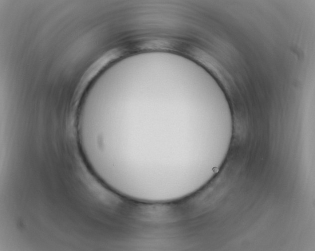 X0000114241090200910231519