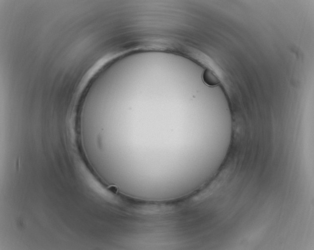 X0000114241091200910231519