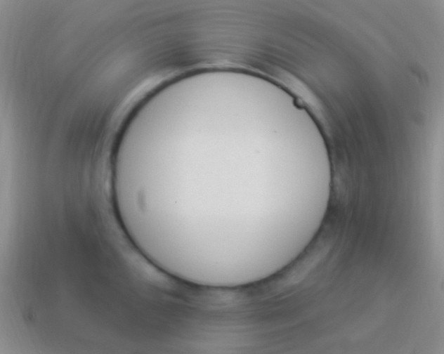 X0000114241096200910231519