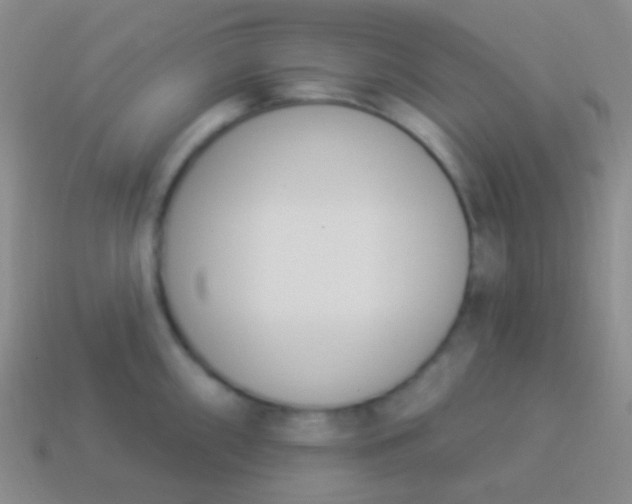 X0000114241098200910231519