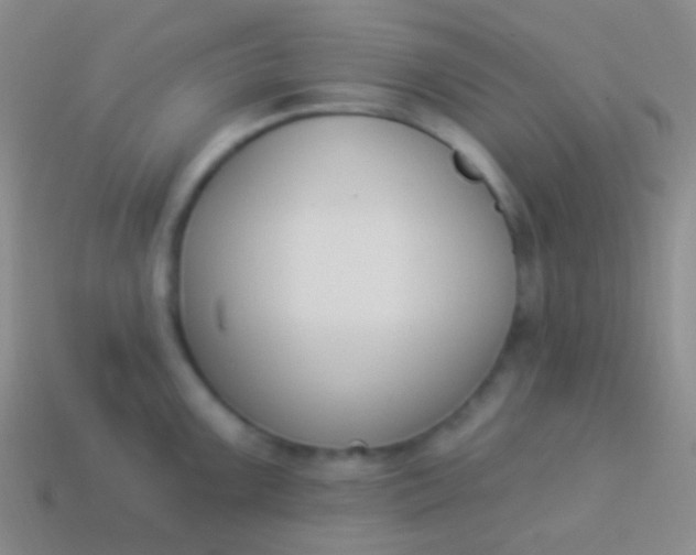 X0000114241099200910231519