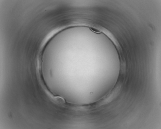 X0000114241101200910231519