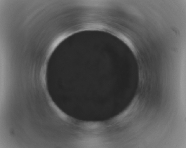 X0000114241103200910231519