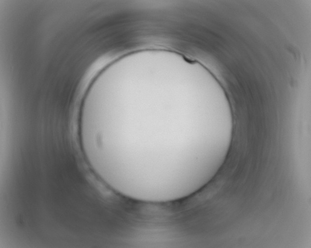 X0000114241104200910231519