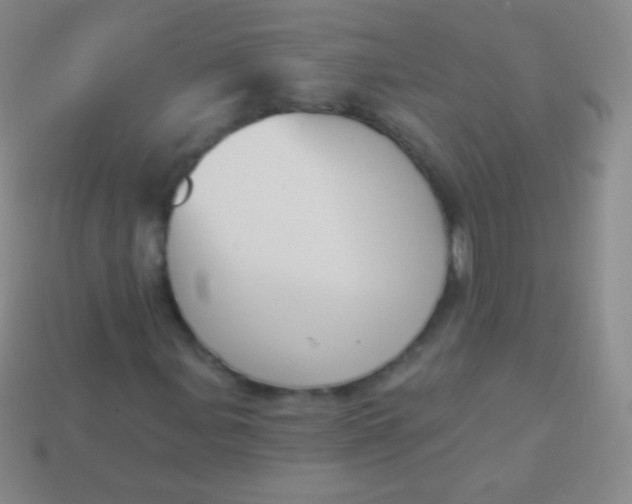 X0000114241107200910231518