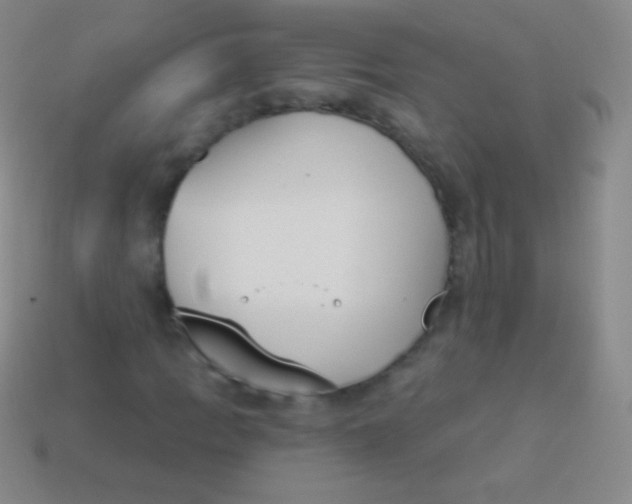 X0000114241109200910231518