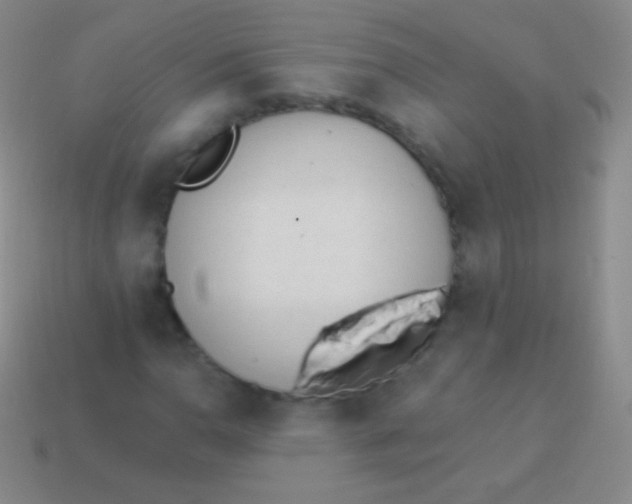 X0000114241110200910231518