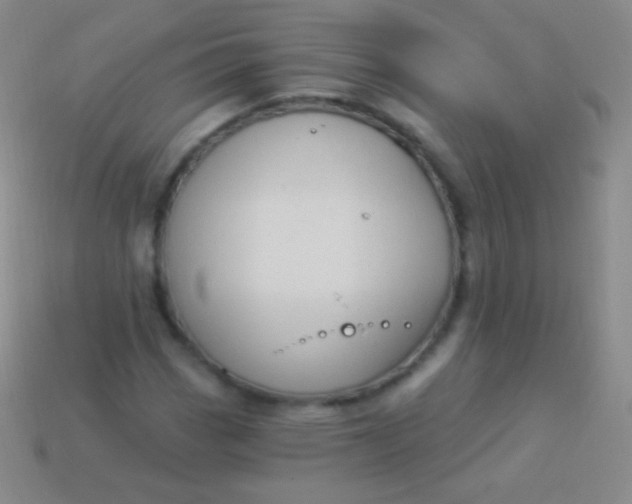 X0000114241113200910231518