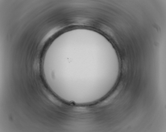 X0000114241114200910231518