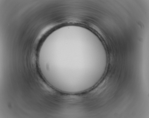 X0000114241115200910231518