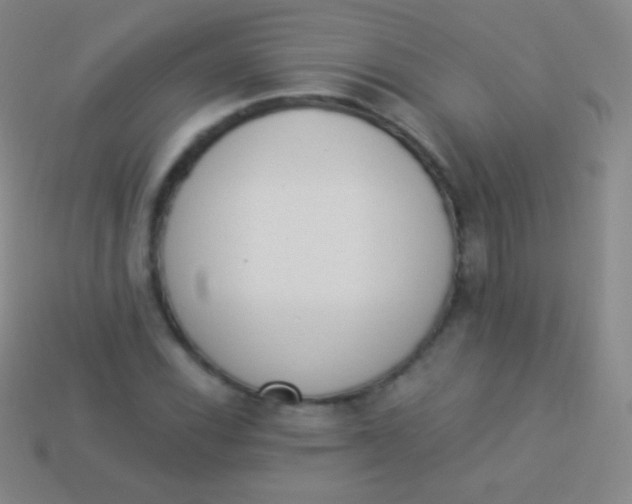 X0000114241116200910231518