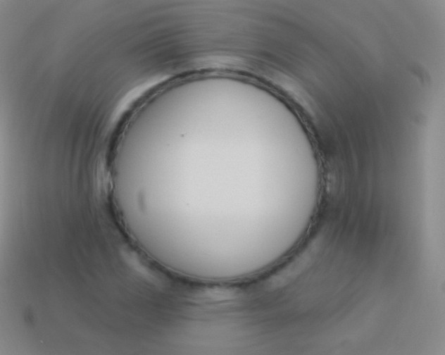 X0000114241117200910231518