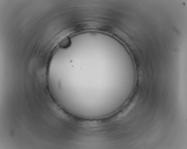 X0000114241121200910231518