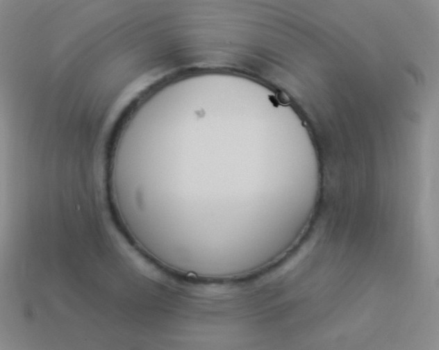 X0000114241122200910231518