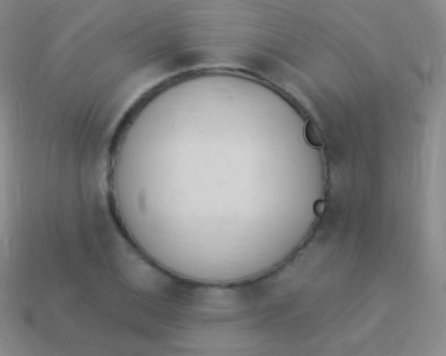 X0000114241124200910231519